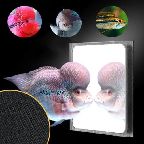 Vastocean Multifunction Flower Horn Magnetic Mirror Fish Training fighting spirit Fish tank rub Mobilize