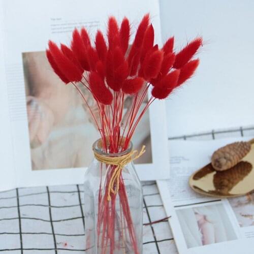 Dried Flower Bouquet Artificial Lagurus Ovatus Decoration for Home Hotel Wedding GQ