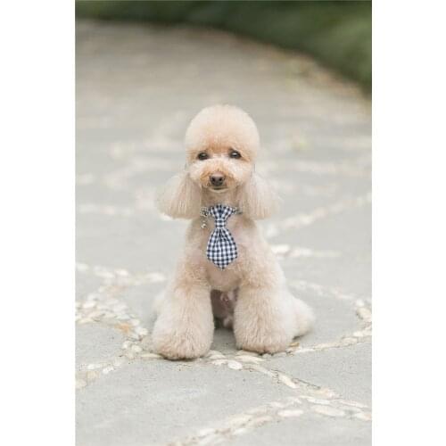 Christmas Blue Plaid Dog Collar and Leash Set with Bow Tie Dog &Cat Necklace and Dog Leash Pet Accessaries