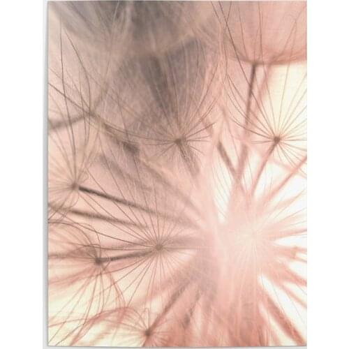 Wall Art Dandelion Canvas Painting HD Printed Macro Nature Pictures Home Decor Bedroom Bedside Background Modular Plant Poster