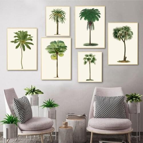 Tropical Palm Tree Vintage Illustrations Posters and Prints Palm Trees Botanical Wall Art Canvas Painting Pictures Home Decor