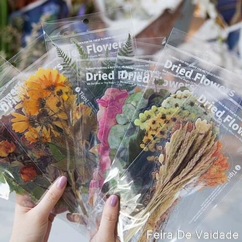 6Pcs Vintage Plants PET Stickers Package DIY Diary Journal Decoration Label Sticker Album Scrapbooking