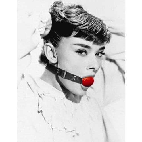 Decorative Fun Magnets , Audrey Hepburn with Gag Metal Fridge Magnet 5232