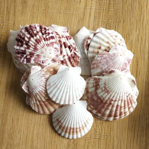 30pcs natural Decoration Beach Fashion hole Seashells Sea Shells for DIY Caft Decor Jewelery Craft Accessories holes Shell Charm
