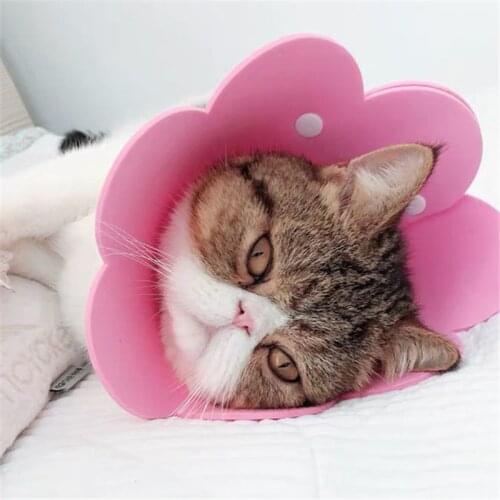 Pet Elizabeth Circle Recovery Sleeve Collar Cat Wound Healing Medical Anti Bite Sun Flower Saliva Towel Felt Cloth Cat Collar