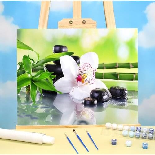 Orchid Flower Coloring By Numbers Painting Kit Oil Paints 40*50 Canvas Painting Loft Picture Crafts For Adults Handicraft Art