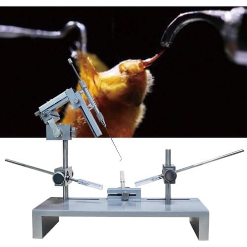 Beekeeping Mating Equipment Queen Rearing Honeybee Artificial Insemination Instrument Kits With Professional Microscope