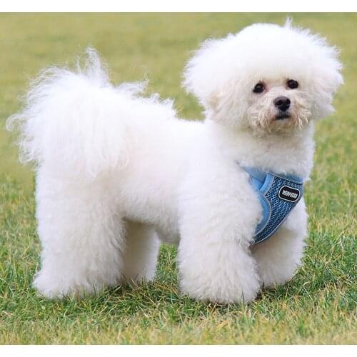 Pet Puppy Leash Harness Adjustable Strap Outdoor Walking Breathable Comfortable Kitten Dog Chest Vest Collar Accessories