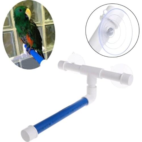 Standing Platform Rack Pet Parrot Bath Shower Perches Suction Wall Cup Bird Toys