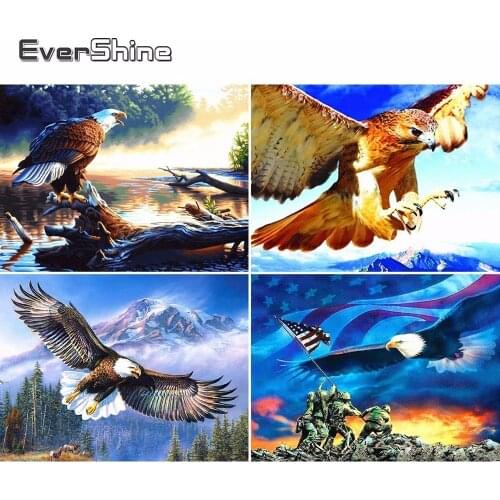 Evershine 5D Diamond Embroidery Full Display Eagle Diamond Mosaic Sale Birds Rhinestones Pictures Diamond Painting Beadwork