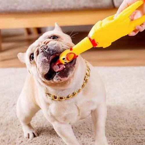 Dog toy yellow screaming rubber chicken interactive pet squeak chewing toy puppies cleaning teeth dog pet supplies