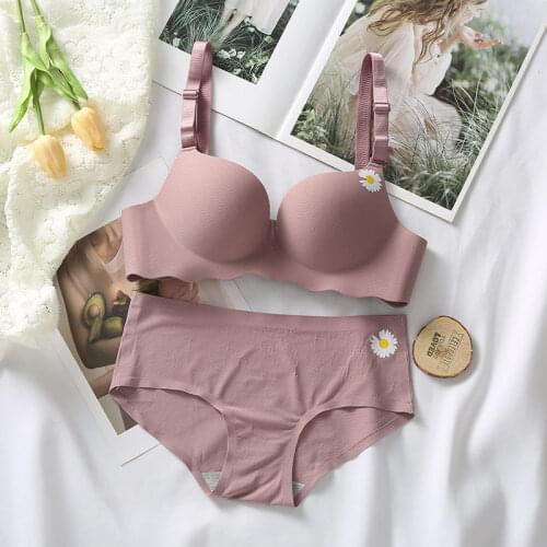 Pink Chrysanthem Sensual Sexy Lingerie Set Girl Women Underwear Plus Size Wirefree Bras Panty One-piece Seamless Bra Briefs Set