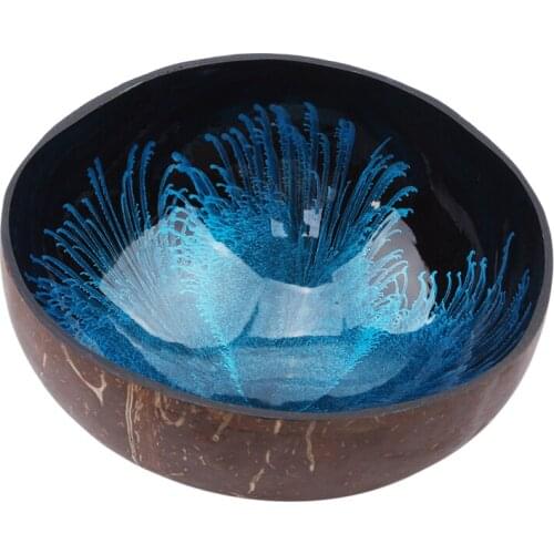 Creative Natureal Coconut Bowl Ink Creative Ornament Storage Bowl Eco Friendly Soup Salad Noodle Storage Section Coconut Bowl