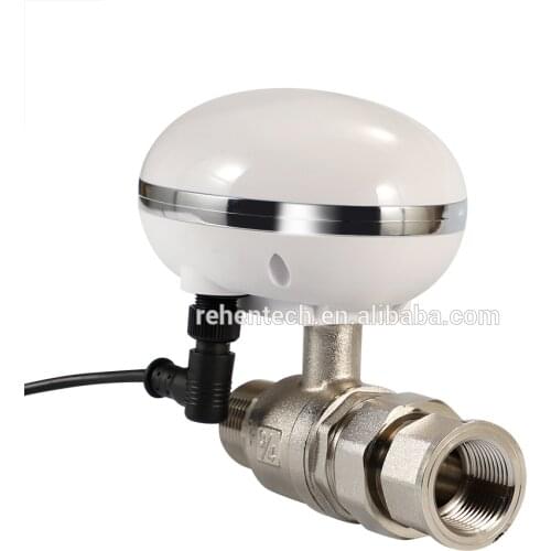 Smart home Wifi Electric Water Shut-Off Valve Timers Irrigation Controller Home Automation Watering System Automatic Gas Valve