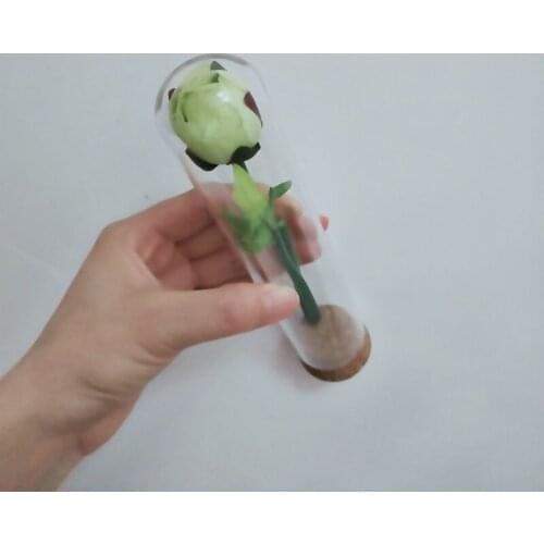 10sets/pack 3.7*18cm Cork Base Glass Dome Diameter=3.7cm Height=18cm Dry Flower Storage Bottle DIY Glass Tube Vase