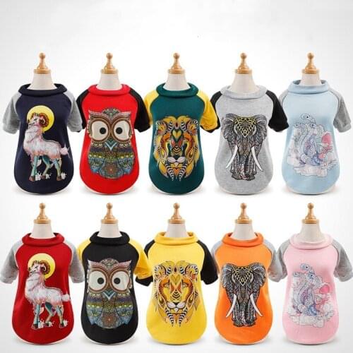 DHANXINZ Clothes And Footwear For Dogs