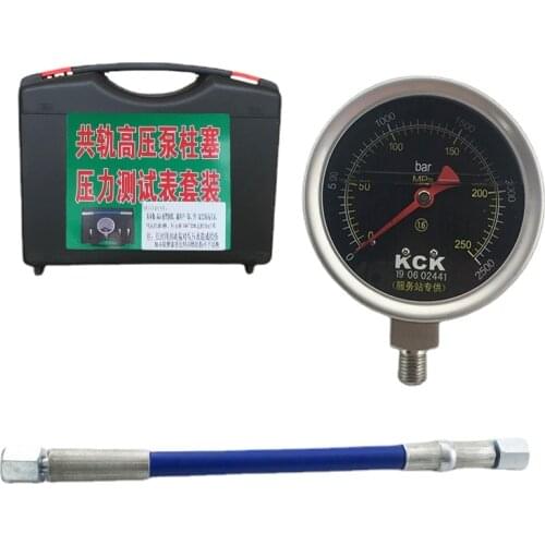 Diesel High-Pressure Common Rail Pressure Gauge Oil Pump Plunger Oil Pump Pressure Test Kit High Pressure 0- 2500 bar