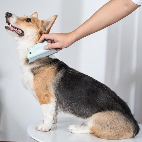 Pet Cat Dog Anti-knot Massage Hair Brush Adhesion Brush Hair Cleaning Remove Floating Hair Pet Beauty Accessories, 4 Colors