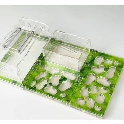 31*19*8CM NEW large size DIY Acryl Flat Ant Farm Large Ant Nest with Feeding Area Ant House Pet Anthill Workshop Multiple Colour