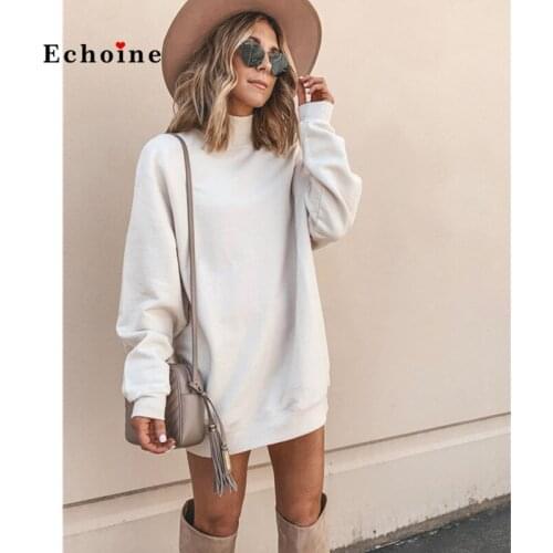 Echoine Women Hoodie Fashion Loose Fit Turtle Neck Long Sleeve Oversized Casual Tops Minimalist Sweatshirt Pullovers Streetwear