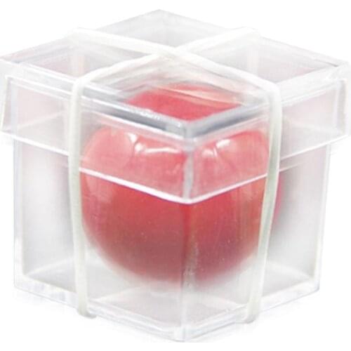 Ball Through Box Illusion Magic Conjuring Prop Magician Trick Game Toys