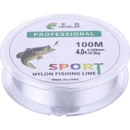100M PE Super Strong Fishing Line Japan Monofilament Nylon Fishing Line