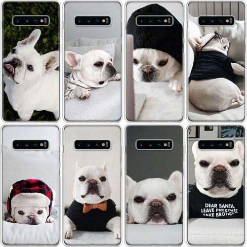 Animal Cute Pug Dog Phone Case For Samsung Galaxy A51 A71 A50 A70 A90 A10S A20S A20E A21 A30 A40 A41 A01 M30S A6 A7 A8 A9 A10Plu