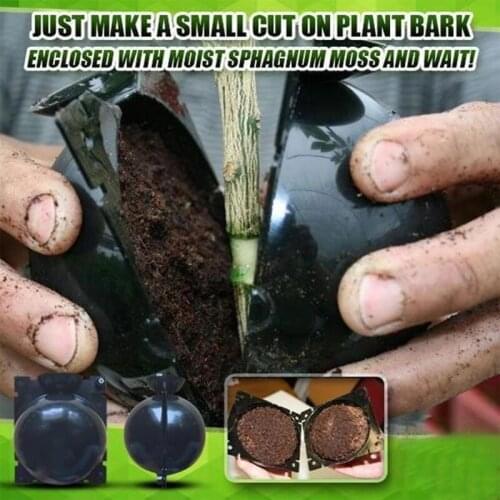 1/3pcs Plant Rooting Ball Grafting Rooting Growing Box Pressure Gardening Plant Root Ball Breeding Case For Garden And Bonsai