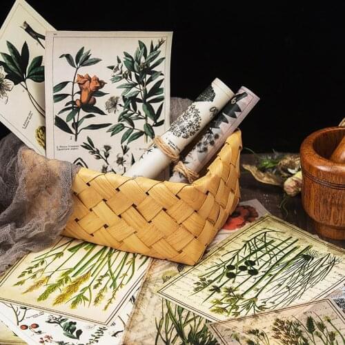 20PCS Vintage Plant Illustration Background Material Paper DIY Scrapbook Base Collage Gift Packaging Photo Props Decoration