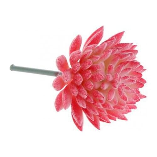 2x Artificial Flower Fake Lotus Succulent Fruit Plant Grass Home Decor #5 Red