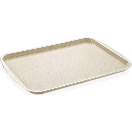 DOLBOVI Gastroplast Serving tray 27*36 cm tray поднос plateau de service