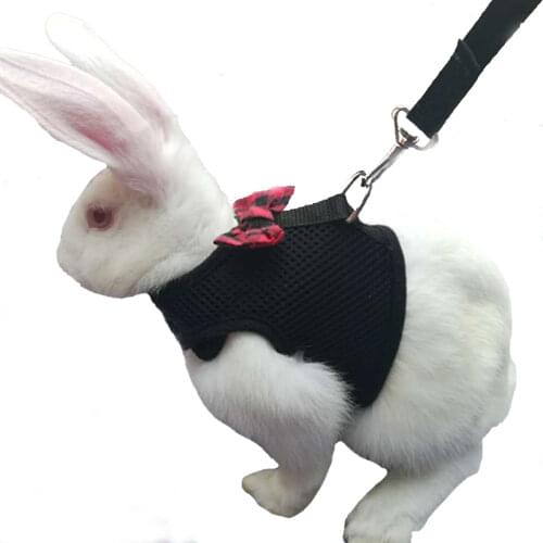 Pet Mesh Soft Harness With Leash Small Animal Vest Lead for Hamster Rabbit Bunny Small animal pet accessories Belt lead set