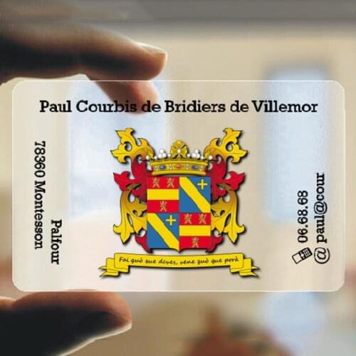 Customized Logo Business Cards Frosted Transparent Business Cards Printed with Design Service 200/500/1000PCS