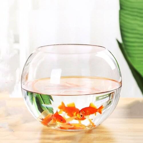 36pcs/pack Diameter=12cm Middle Size Top Open Glass Terrarium Vase Home Decoration Creative Aquarium Fishbowl Friend Gift