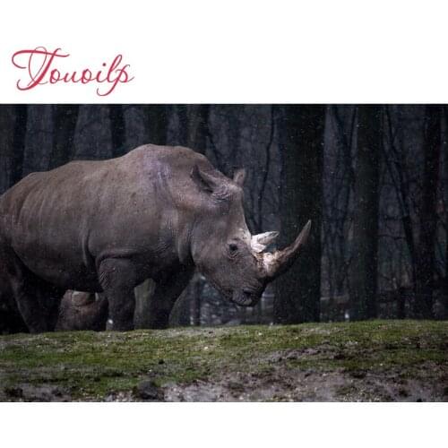 5d Forest rhinoceros diamond painting canvas diamond cross stitchsets crystal needlework diy spuare&round diamond embroidery