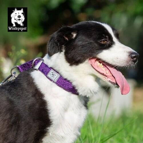 TRUELOVE Nylon Webbing Pet Dog Collar P-Chain Soft Resistant to Pull Running Training Large Medium Small YC1851