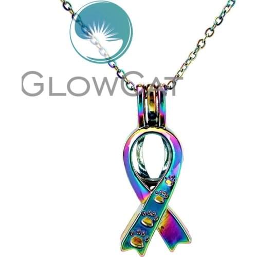CC646 Rainbow Ribbon Cat Claw Print Beads Cage Pendant Aromatherapy Essential Oil Diffuser Oyster Pearl Cage Locket Necklace