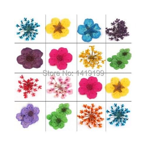 12 Colors Natural Nail Dry Flowers Dedroogde Bloemen DIY 3D Nail Art Decoration Rhinestone Glitter For Manicure