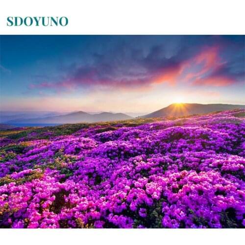 SDOYUNO Acrylic Painting By Numbers Flower Scenery DIY Paint By Numbers On Canvas Handpaint 60x75cm Frameless Draw Number