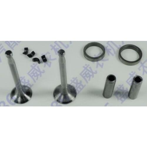 Free shipping R176 Cylinder head spare parts intake valve suit for Changchai Changfa Chinese brand