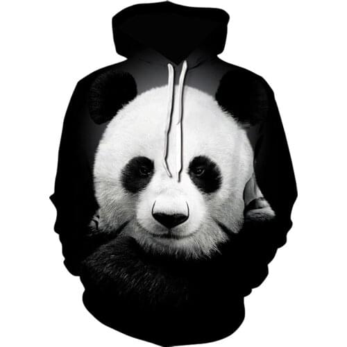 3D China National Treasure Cute Panda Print Hoodies novelty kawaii clothes Men/Women winter Pullovers casual tracksuit hoodie