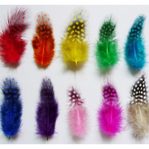 10 kind colour select natural pearl feather DIY handwork ornament 50 root sell pheasant feather 6-12cm 2.3-4.7 inch