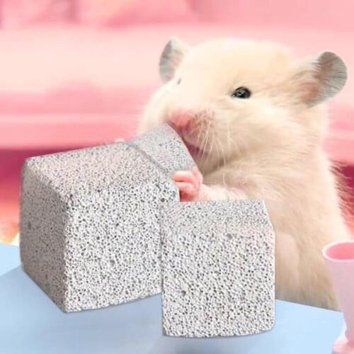 1PC Novel Guinea Pig Hamster Rabbit Squirrel Teeth Grinding Mineral Molar Stone Chew Toys for Chinchilla Rabbit Cage Accessories