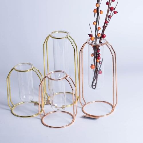Nordic Style Glass Flower Pot Iron Line Vase Hanging Test Tube Flower Vases Rose Gold Desk Flowerpots Plant Holder Home Decor