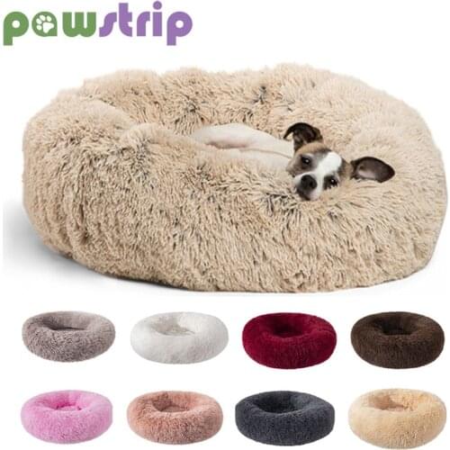 Pawstrip Furniture, Carriers For Cats