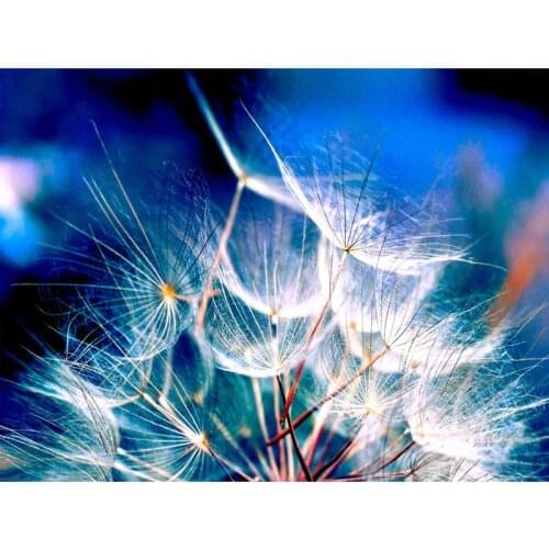 Needlework Full Square Round Diy Diamond Embroidery 5D Dandelion Pictures Rhinestone Cross Stitch Kits Mosaic CraftsZP-2751