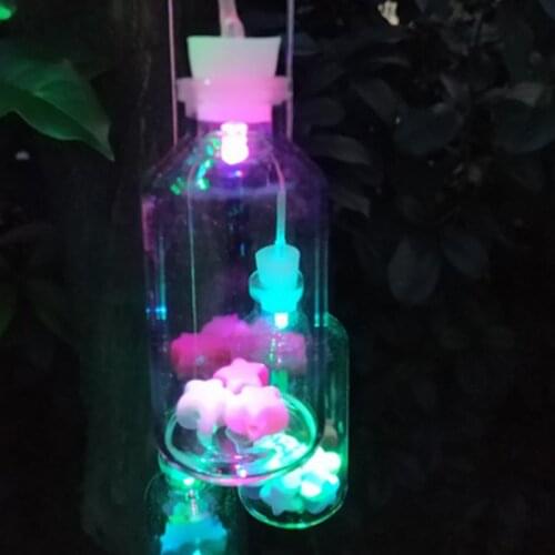 LED Lamp Garden Light Outdoor Wind For Courtyards,Outdoor Decoration Safe And Waterproof, Green Energy Saving, Wishing Bottle