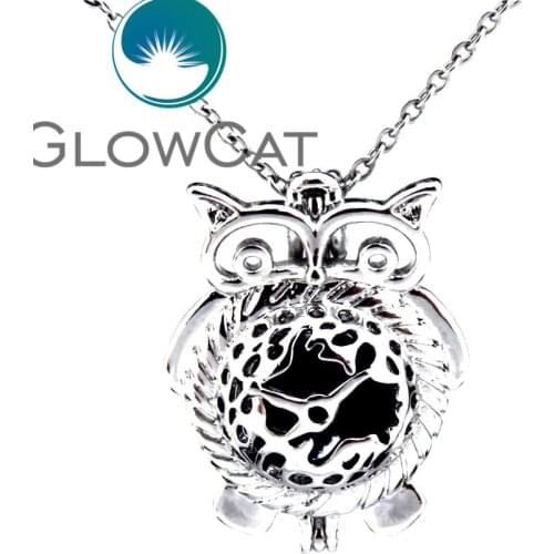 KK452 Copper Owl Bird Pearl Cage Pendant Essential Oil Diffuser Beads Cage Locket 18'' Steel Chains Necklace