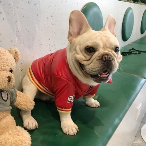 Winter Dog Coat Jaket Pomeranian Poodle Bichon Schnauzer Pug Clothes French Bulldog Clothing Pet Outfit Dropship Dog Costume