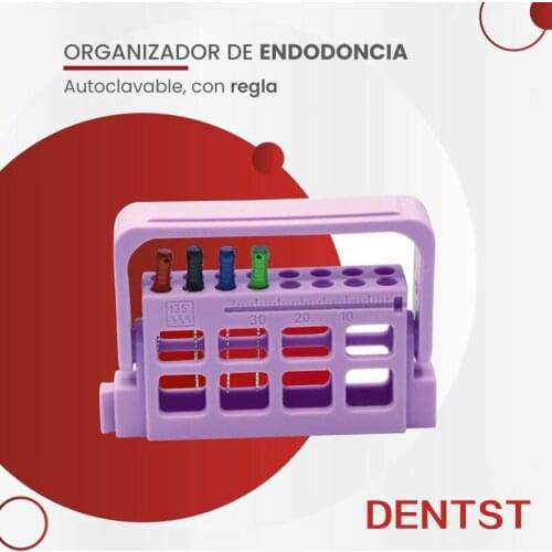 Dentst 8 Holes Endodontic Block Sterilizable At High Temperature Good Quality Endo Files Holder